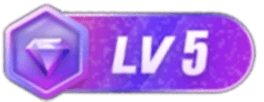等级-LV5-四书格